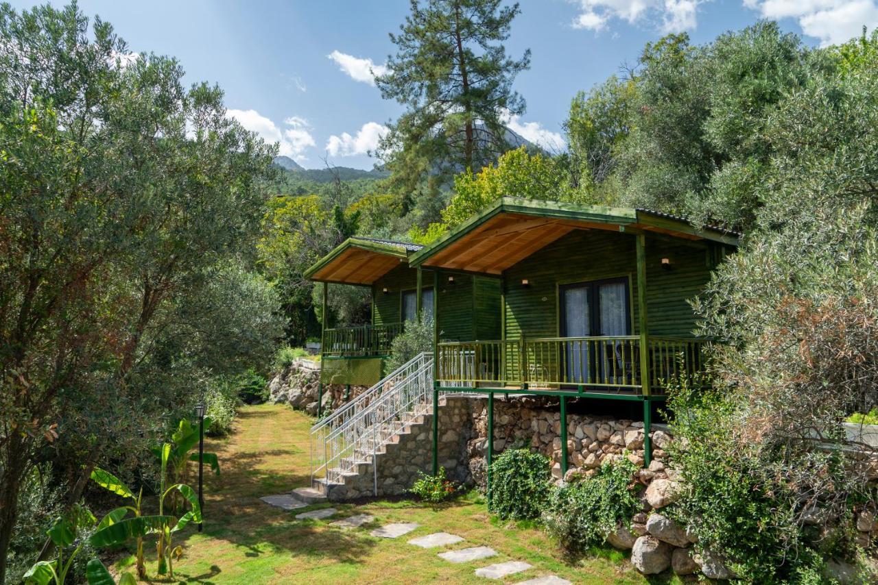 Apa Mountain Lodge Анталья Экстерьер фото